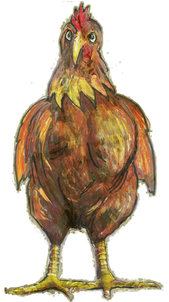 chicken